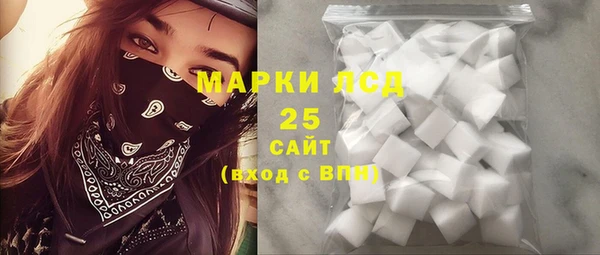 винт Алзамай