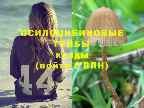 стафф Алексин