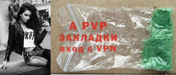 стафф Алексин