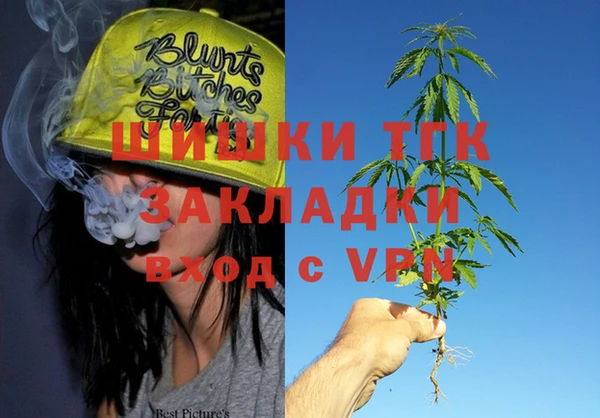 винт Алзамай