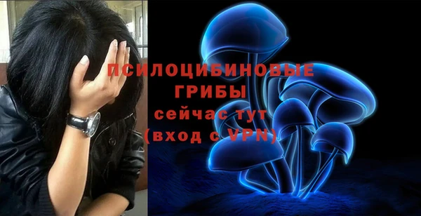 стафф Алексин