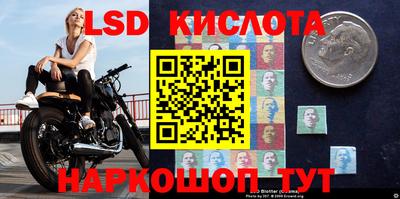 эйфоретик Ставрополь