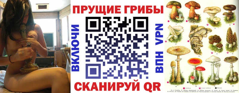 Псилоцибиновые грибы Cubensis Удомля