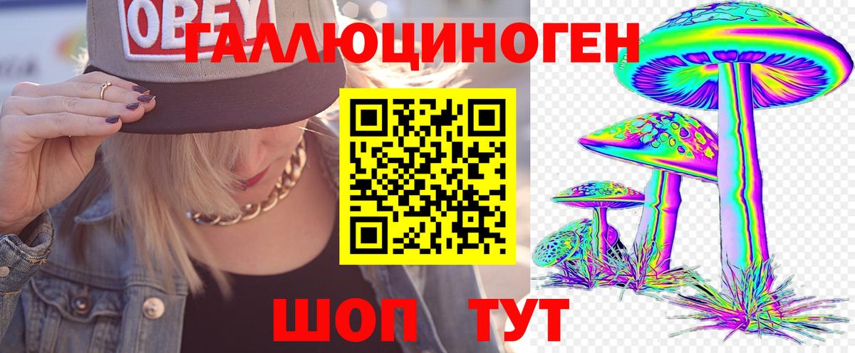 где купить наркотик  Псилоцибиновые грибы мицелий  Вход с VPN  Удомля  Псилоцибиновые грибы Magic Shrooms 