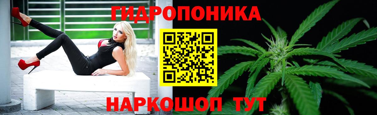 A PVP Удомля